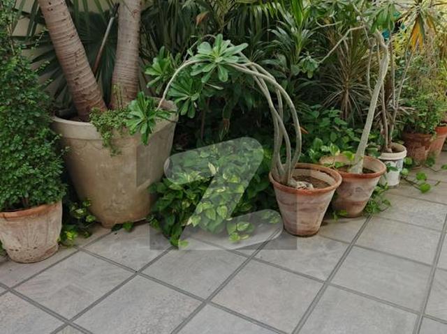 Newly renovated house available at prime location of gulshan e iqbal block 7