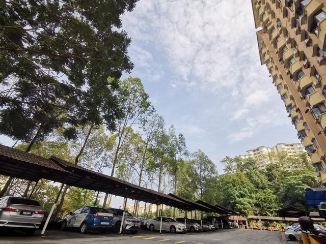 Newly refurbished Freehold condo on a Peaceful Hilltop Locale