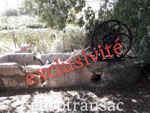 Nézignan l'Évêque Vente Terrain 34