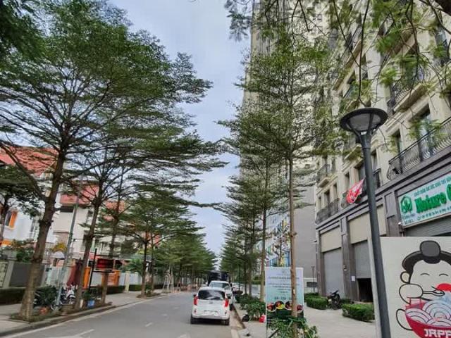 Nhỉnh 20 tỷ shophouse The Terra An Hưng kinh doanh vô địch Đã hoàn thiện