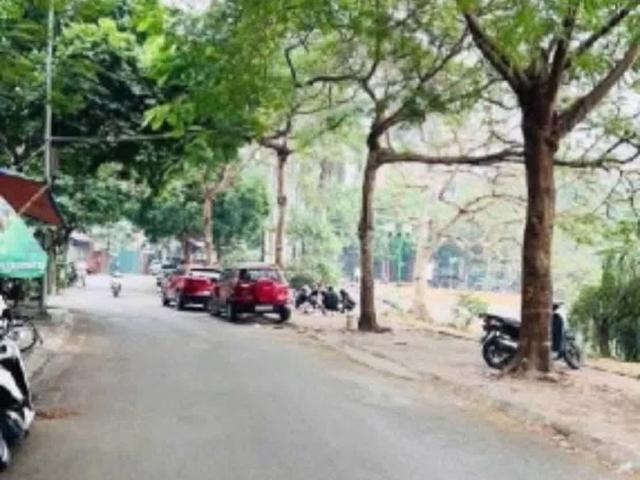 Nhà Gần Hồ Ba Mẫu 52m2_lô Góc Mặt Ngõ Thông_xây Toà Ccmn/ CHDV 7 Tầng Thang Máy_dòng Tiền 700