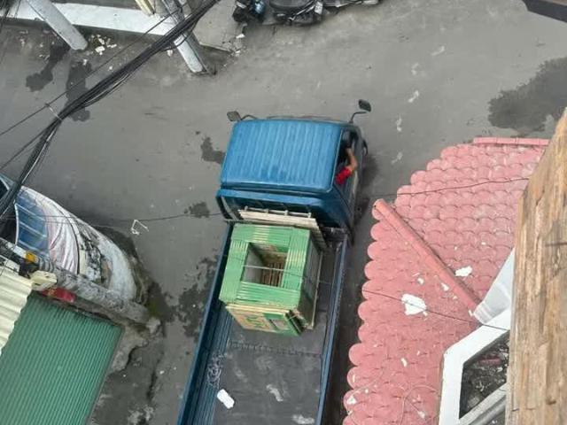 Nhà Mới HXH Kinh Doanh Lô Góc 2 Mặt Tiên Quang Trung P11 Ngang Gần 5m 4 Tầng Nhỉnh 6 Tỷ