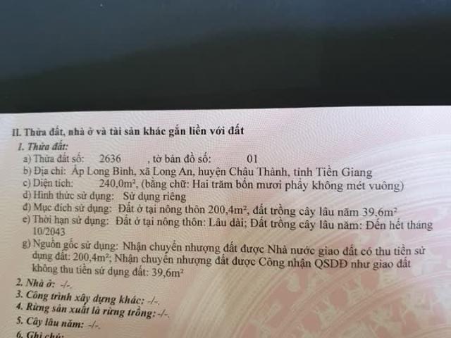 Nhà mái Thái kiểu biệt thự vườn đẹp lung linh. Rộng 300m2. Tại xã Long An, H. Châu Thành, TG