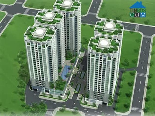 Nhà đẹp vị trí đẹp oto trước cửa Quốc Lộ 50 P5Q8