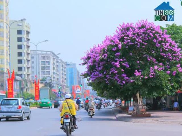 Nhà đẹp ở luôn, Đào Tấn, Ba Đình, Mặt tiền rộng, Gần phố, Ngõ thông, 40m2 chỉ nhỉnh 7 tỷ