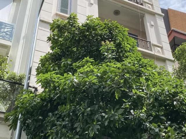 Nhà đẹp mặt phố Đống Đa, 110m x 7tầng, thang máy, gara, vỉa hè, đắc địa kinh doanh