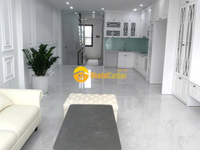 Nhà đẹp nội thất hiện đại đường 6m khu tdc phố nguyễn thời trung dt 65m2. Giá 18.5 tỷ