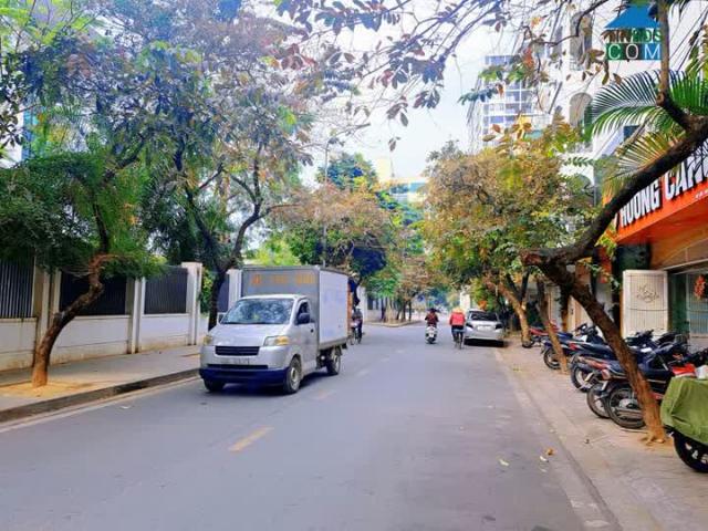 Nhà Đẹp Phố Hoàng Cầu Thang Máy Hiện Đại Vỉa Hè 2 Bên Rộng. 65M X 7t. Giá 26 Tỷ