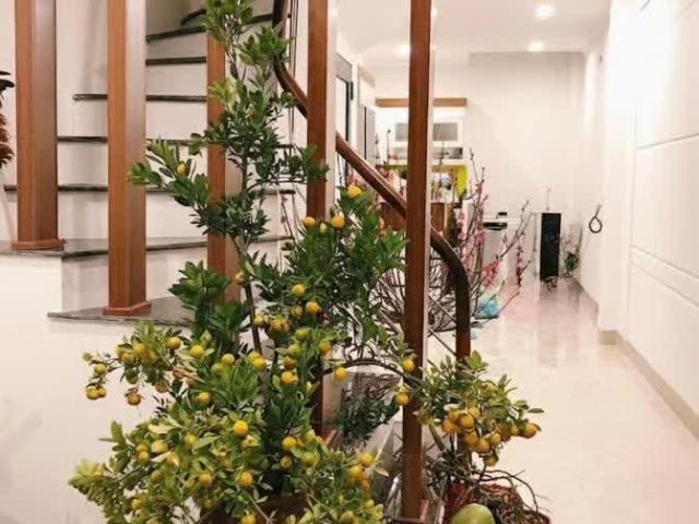 Nhà Phố Lạc Long Quân 45M 5T 11,6 Tỷ Gần Đường Ô Tô Gần Hồ Tây Vị Trí Đẹp