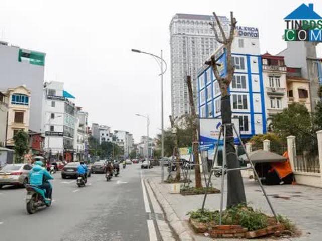 Nhà Phân Lô Phố Huỳnh Thúc Kháng 50M2X4 Tầng, 3.8m, Giá 25 Tỷ