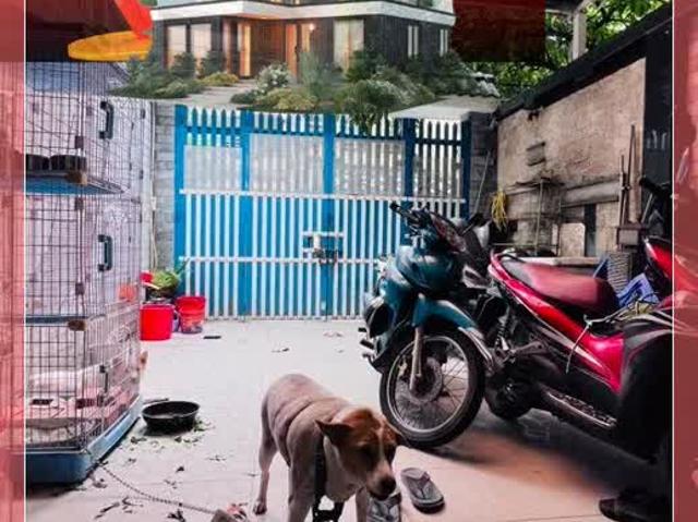 Nhà Quận 8 giáp Quận 1 ngang 5x25 DT 123m2 Nguyễn Thị Tần 11 tỷ 5 0931172