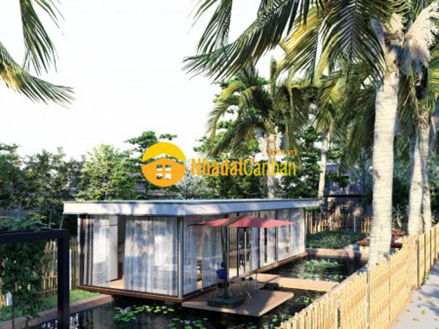 Nhà thông minh 300m2 tại quới sơn