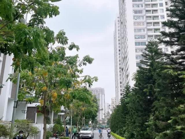Nhà Vườn quận Thanh Xuân, Imperia Garden 203 Nguyễn Huy Tưởng 170m x 5T, Giá 4x tỷ