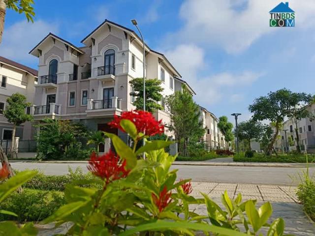 Nhanh tay bắt đáy thị trường bdds với siêu phẩm biệt thự 135m2