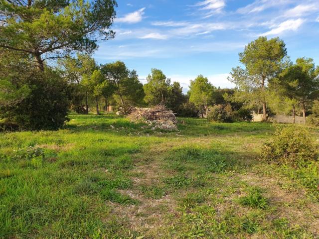 Nimes Vente Terrain 30