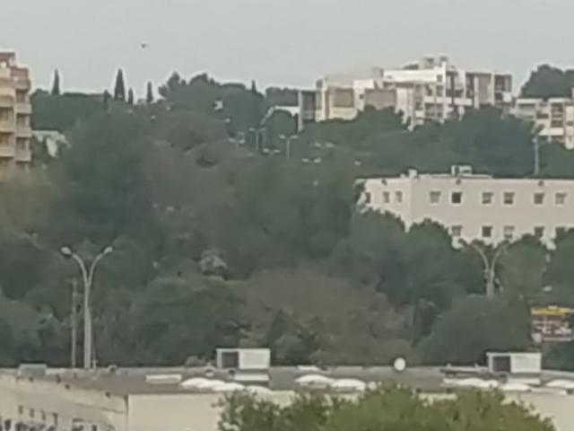 Nîmes Location Appartement 30