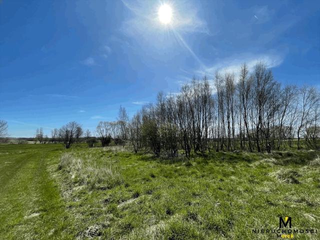 Ninikowo, 1 301 m2