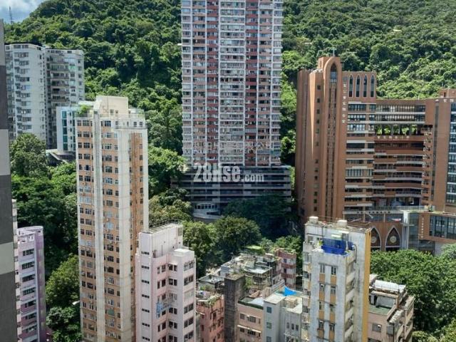 帝柏園 #2774 租盤樓盤詳細資料