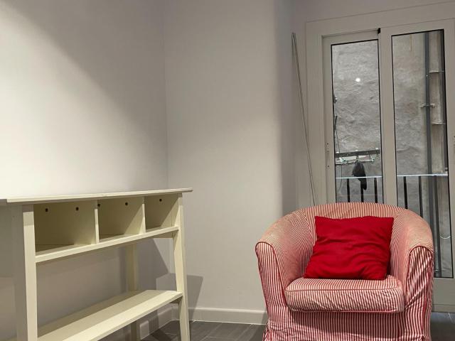Nice and spacious apartment in Barrio Gótico