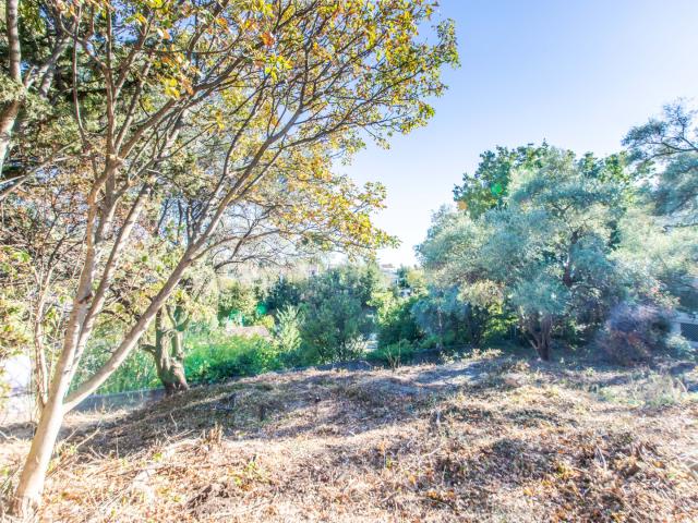 NICE Cimiez Terrain constructible Maison individuelle