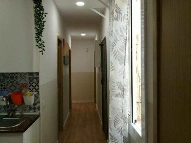 Nice single bedroom in shared flat near the University of Barcelona