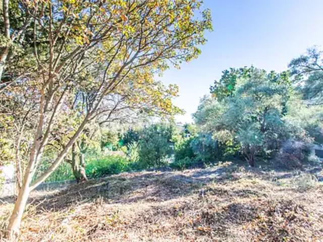 Nice 06100 Achat / Vente terrain