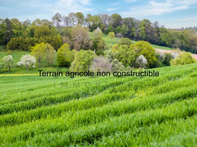 Nicht bebaute landwirtschaftliche Flächen mit Hütte und Panoramablick auf Genf