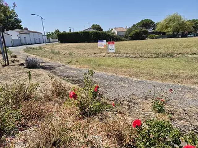 Nieulle sur Seudre 17600 Programme neuf terrain neuf à vendre
