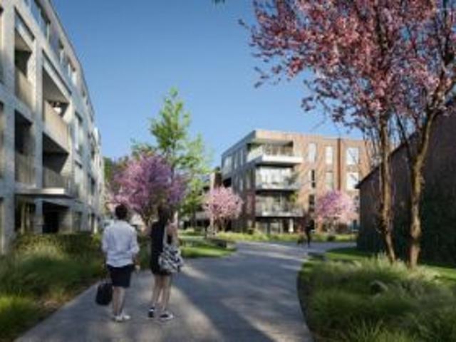 Nieuwbouwappartement in centrum Hoogstraten