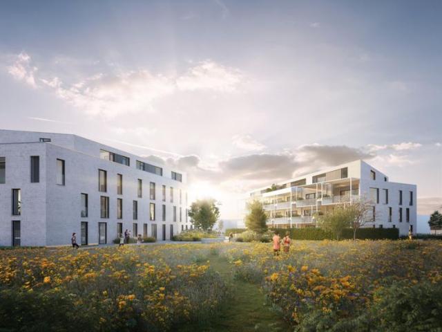 Nieuwbouwappartement op toplocatie te Sint Andries/Brugge