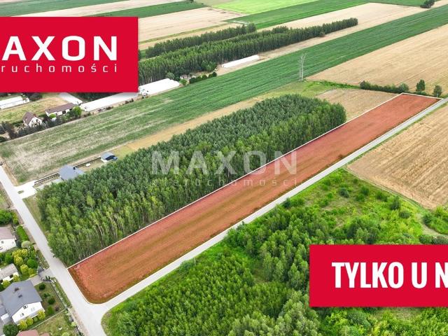 Działka inwestycyjna 8 000 m² w Nieborowie z możliwością zabudowy