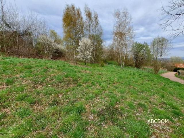 Nielepice 1 300 m², Nielepice