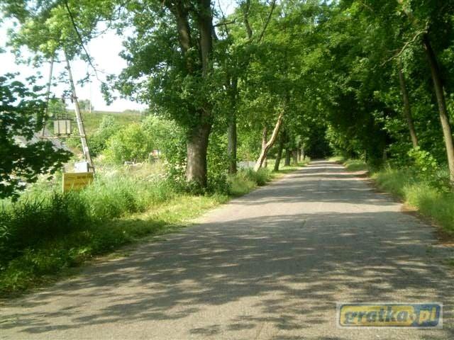 Niepodleglosci 501 m², Międzyzdroje