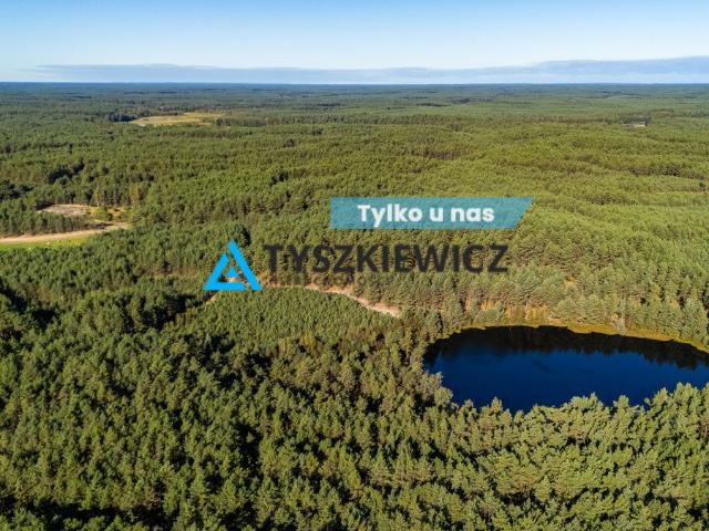 Nierostowo, 91 700 m2