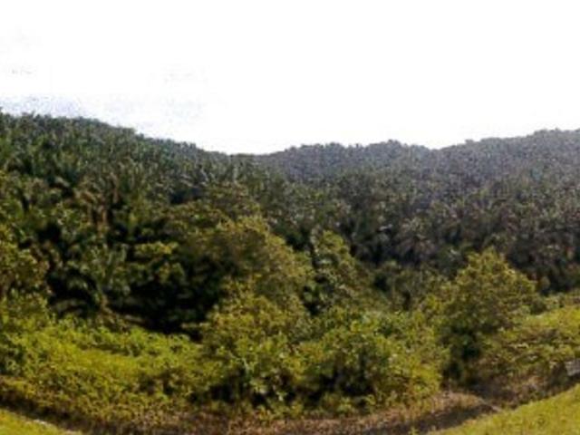 Nilai ELITE Highway Development Land For Sale