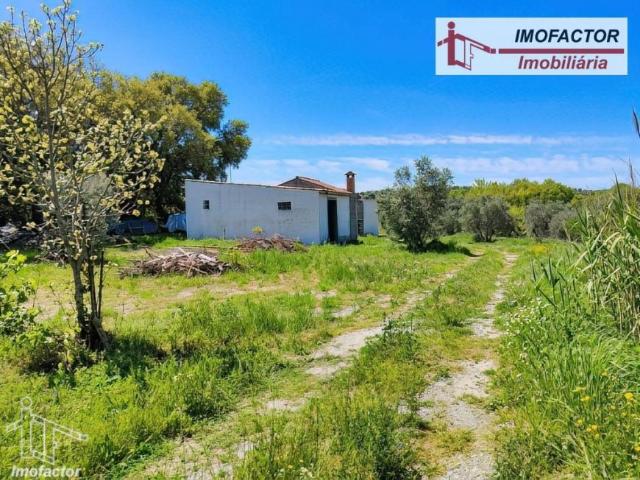 Nisa Portalegre LS102703674