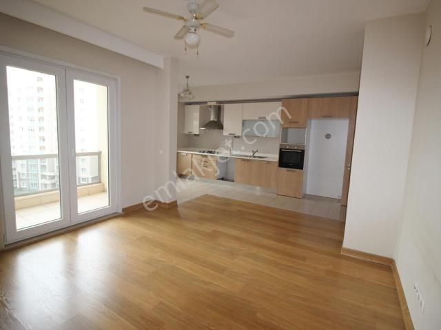 Nish Adalar Proje Uzmanı Nusret Öztürk'ten Kiralık 1+1 Daire