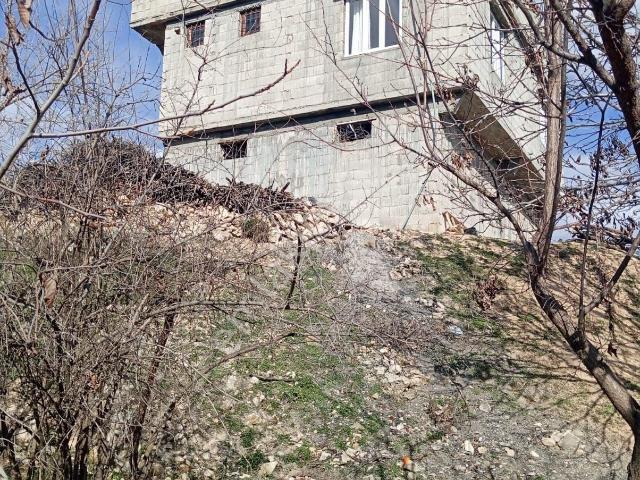 Nizib Turlu Koyunde Asvatuzeribagevi