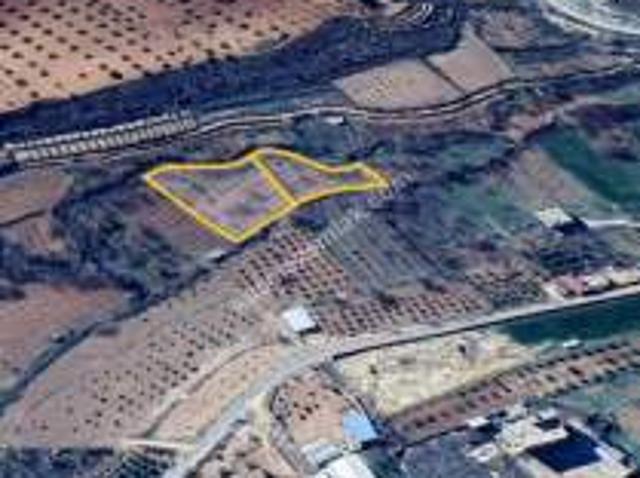 Nizip Uluyatır Da Çok Uygun 3.265 M2 Tek Tapu Bahçe