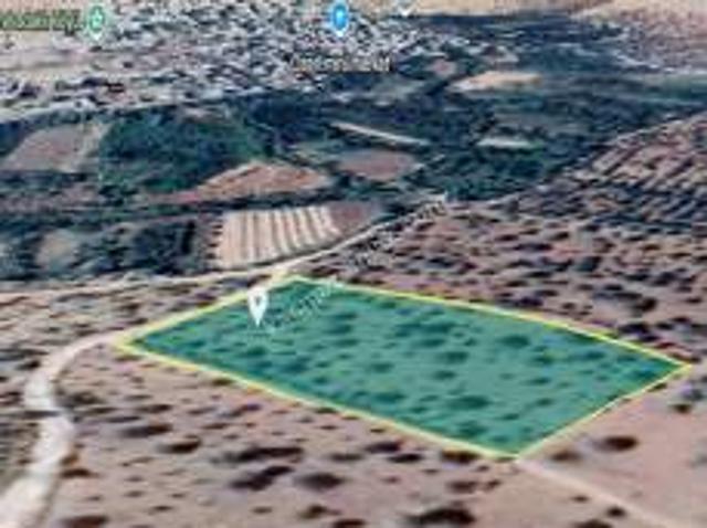 Nizip Adaklı Da 6.5 Dönüm Tek Tapu Yatırımlık Fıstıklık