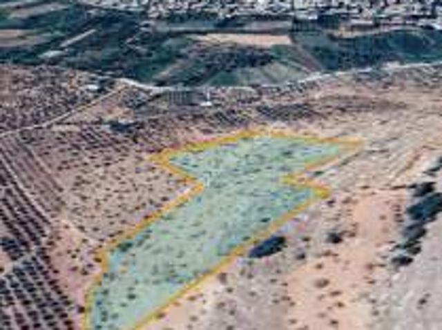 Nizip Adaklı Da 22.750 M2 Yatırımlık Tek Tapu Fıstıklık