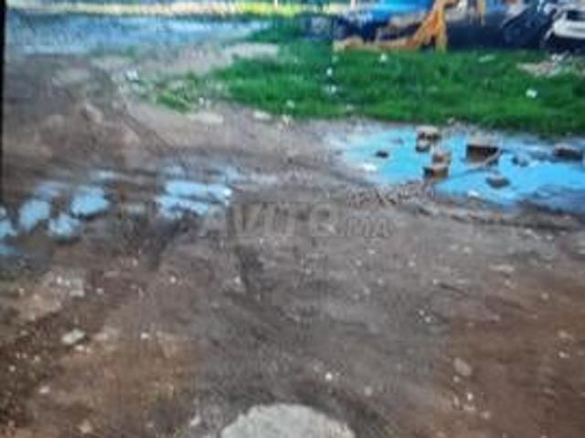 طنجة حي المنار