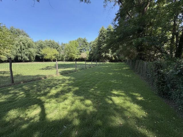 Nonville Vente Terrain 77