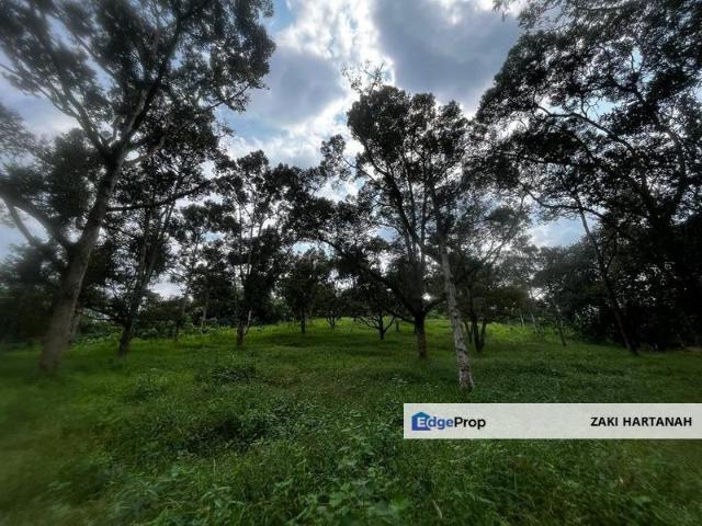 Non bumi lot Dusun Durian @ Semenyih with fantastic view for sale