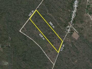 Terreno En Venta En San Antonio Tehuitz, Kanasín