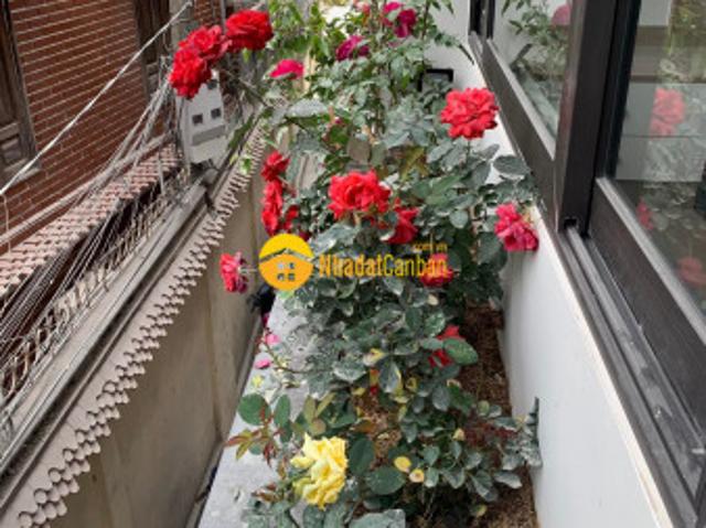 Nóng bỏng và hấp dẫn cần cho thuê nhà khu vực trực cát gần đường bùi viện