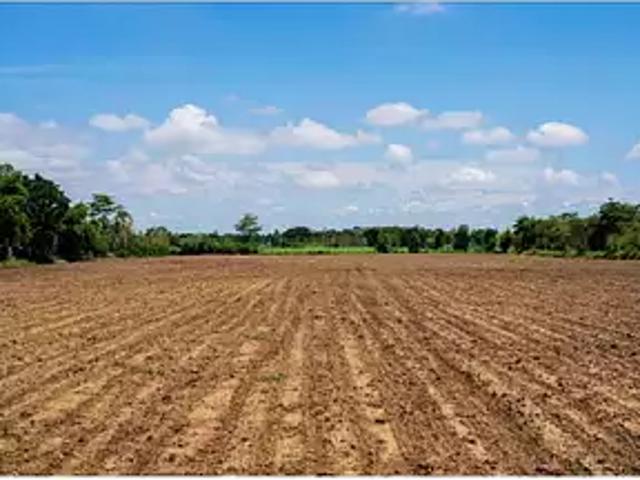 Noaillac 33190 Achat / Vente terrain