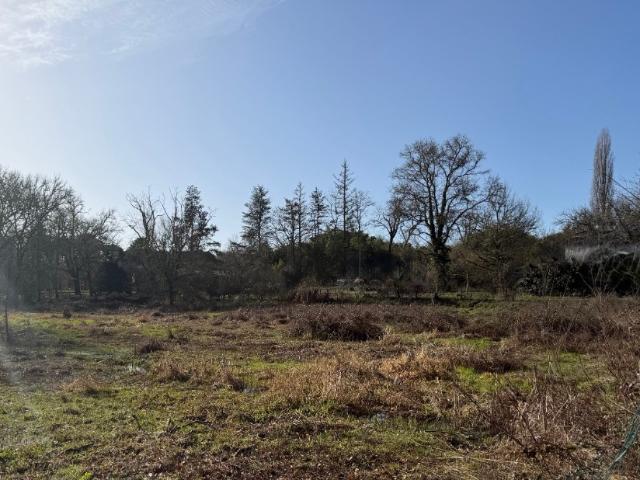 Noaillan Vente Terrain 33