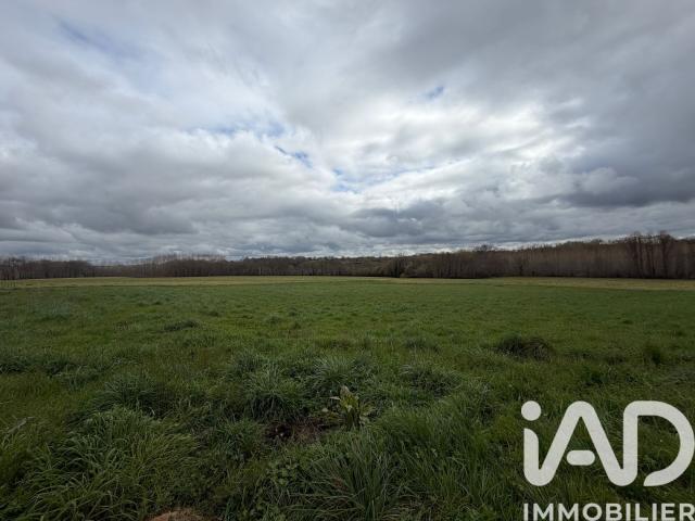 Nogaro Vente Terrain 32