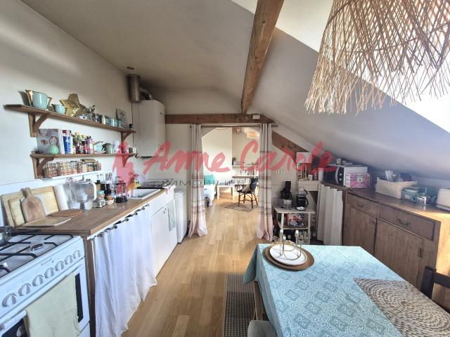 Nogent sur Marne Bel appartement de 45 m2 au dernier étage